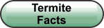 Termite Facts and information